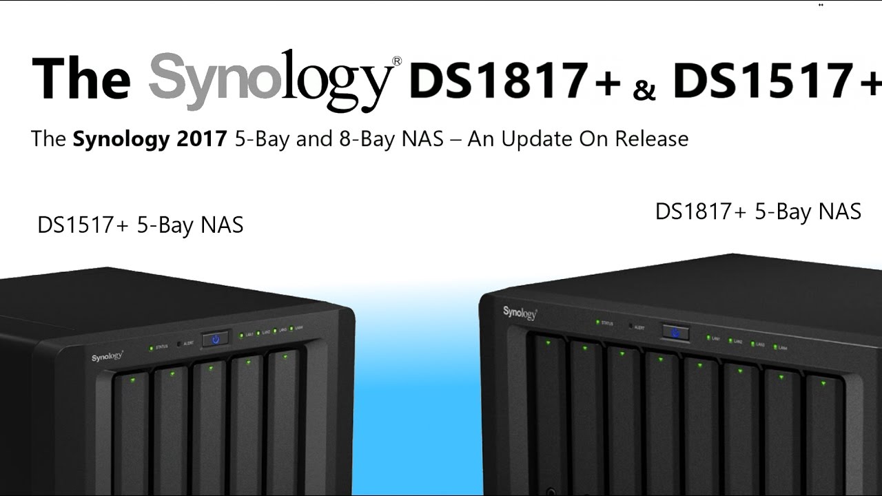 DS1817